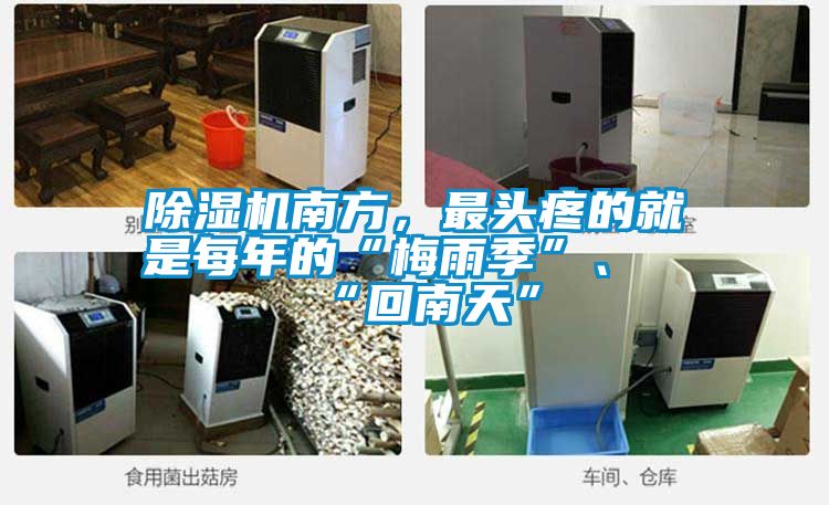 除濕機(jī)南方，最頭疼的就是每年的“梅雨季”、“回南天”