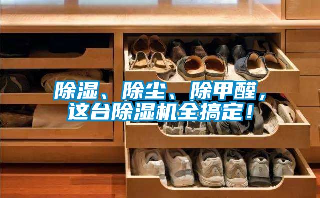 除濕、除塵、除甲醛，這臺(tái)除濕機(jī)全搞定！
