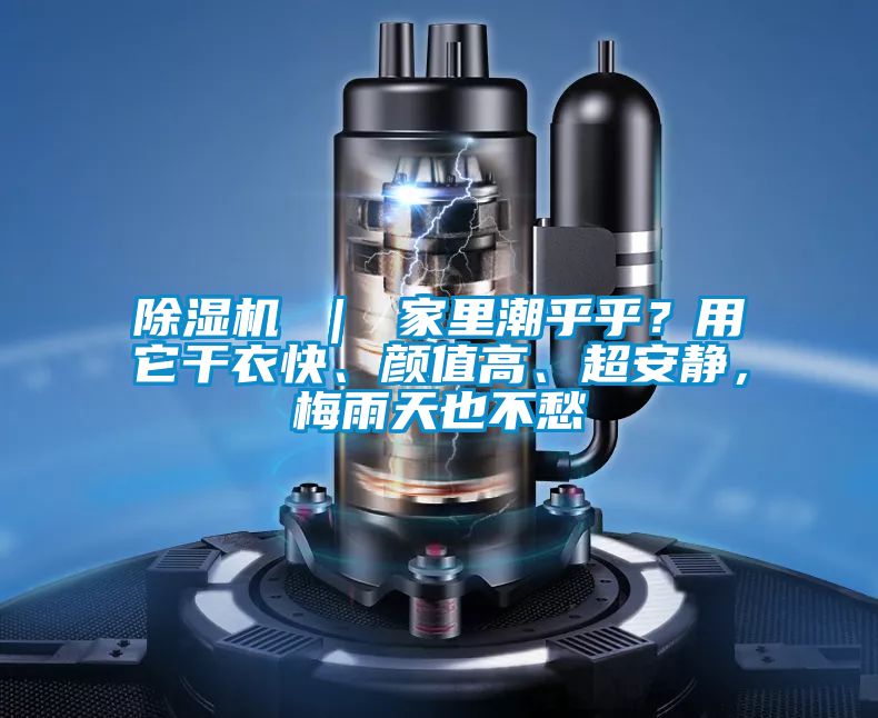 除濕機(jī) ｜ 家里潮乎乎？用它干衣快、顏值高、超安靜，梅雨天也不愁