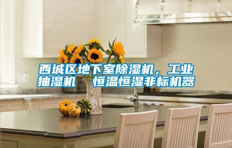 西城區(qū)地下室除濕機，工業(yè)抽濕機  恒溫恒濕非標機器