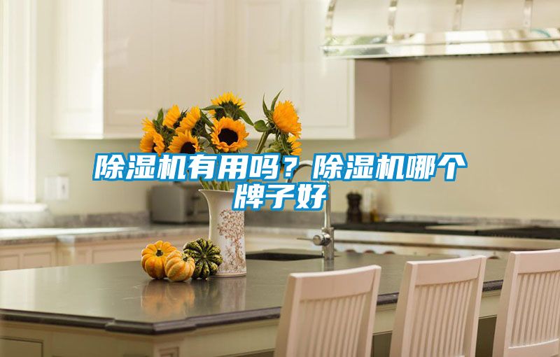 除濕機(jī)有用嗎？除濕機(jī)哪個(gè)牌子好