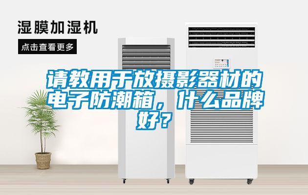 請教用于放攝影器材的電子防潮箱，什么品牌好？