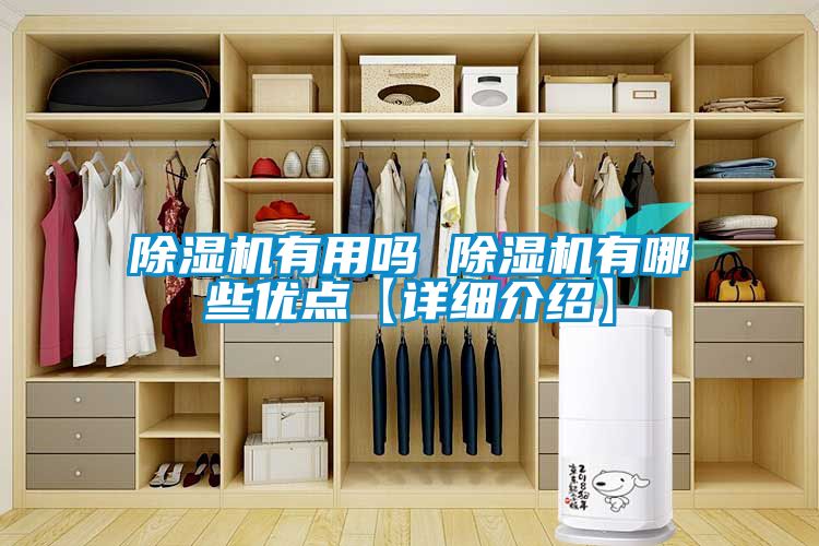除濕機有用嗎 除濕機有哪些優(yōu)點【詳細(xì)介紹】