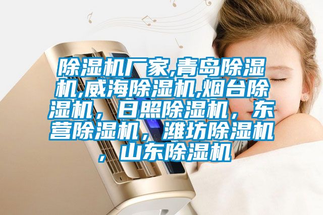除濕機(jī)廠家,青島除濕機(jī),威海除濕機(jī),煙臺除濕機(jī)，日照除濕機(jī)，東營除濕機(jī)，濰坊除濕機(jī)，山東除濕機(jī)