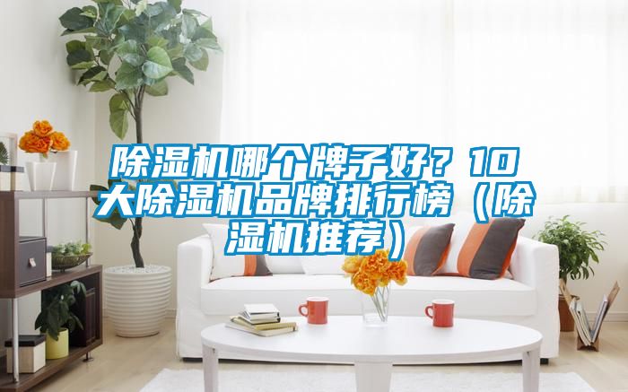 除濕機哪個牌子好？10大除濕機品牌排行榜（除濕機推薦）