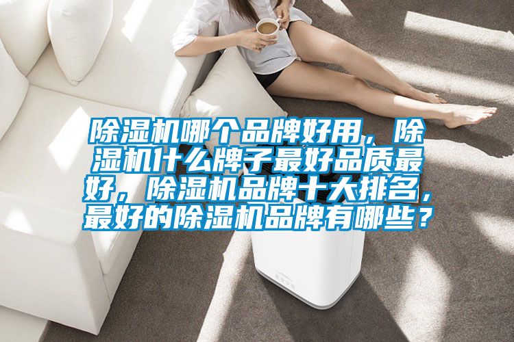 除濕機(jī)哪個品牌好用，除濕機(jī)什么牌子最好品質(zhì)最好，除濕機(jī)品牌十大排名，最好的除濕機(jī)品牌有哪些？