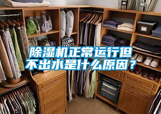 除濕機(jī)正常運(yùn)行但不出水是什么原因？