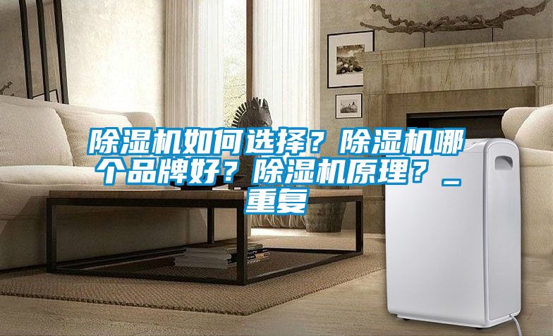 除濕機(jī)如何選擇？除濕機(jī)哪個(gè)品牌好？除濕機(jī)原理？_重復(fù)