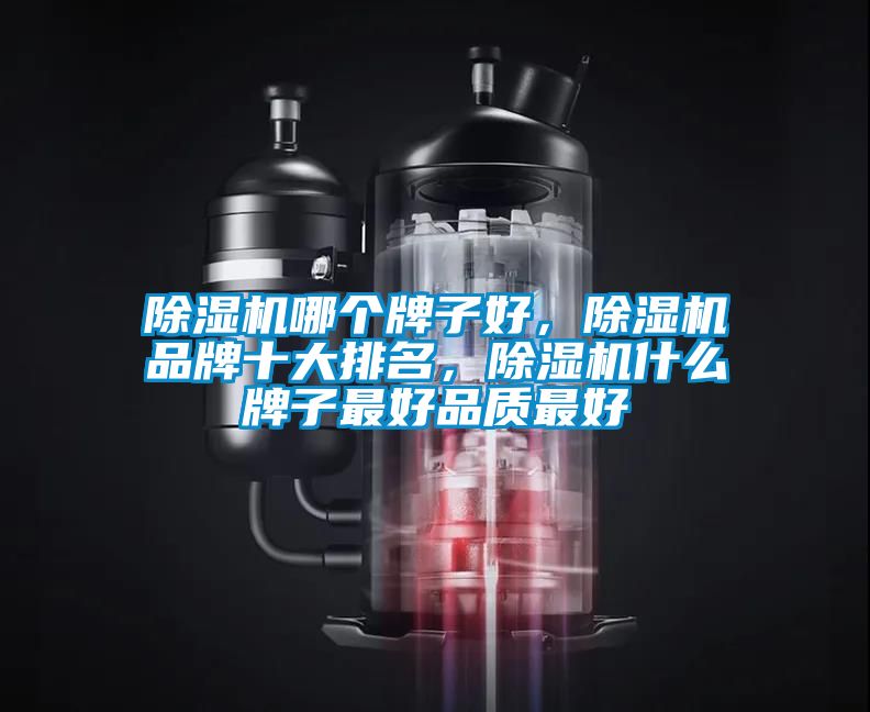 除濕機哪個牌子好，除濕機品牌十大排名，除濕機什么牌子最好品質(zhì)最好