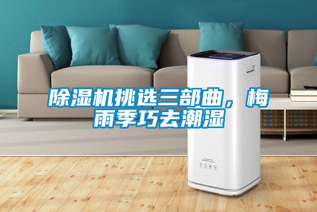 除濕機(jī)挑選三部曲，梅雨季巧去潮濕