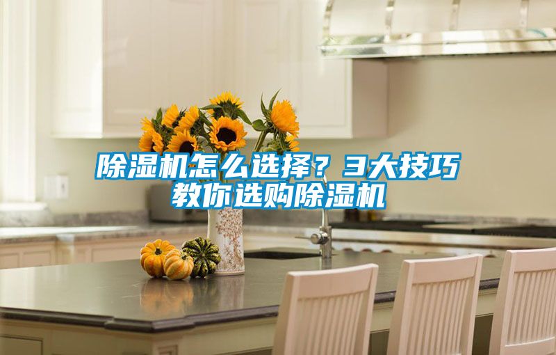 除濕機(jī)怎么選擇?3大技巧教你選購除濕機(jī)