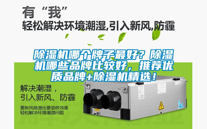 除濕機哪個牌子最好？除濕機哪些品牌比較好，推薦優(yōu)質品牌+除濕機精選！