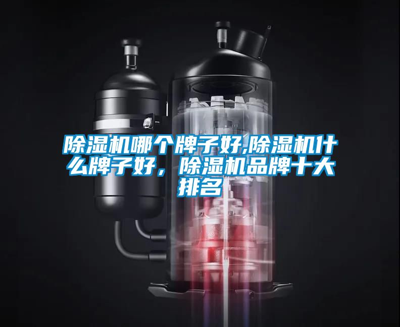 除濕機哪個牌子好,除濕機什么牌子好，除濕機品牌十大排名