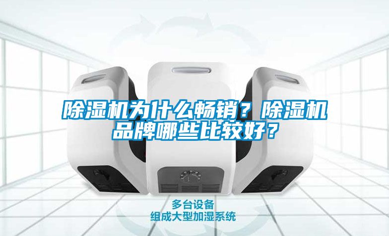 除濕機為什么暢銷？除濕機品牌哪些比較好？