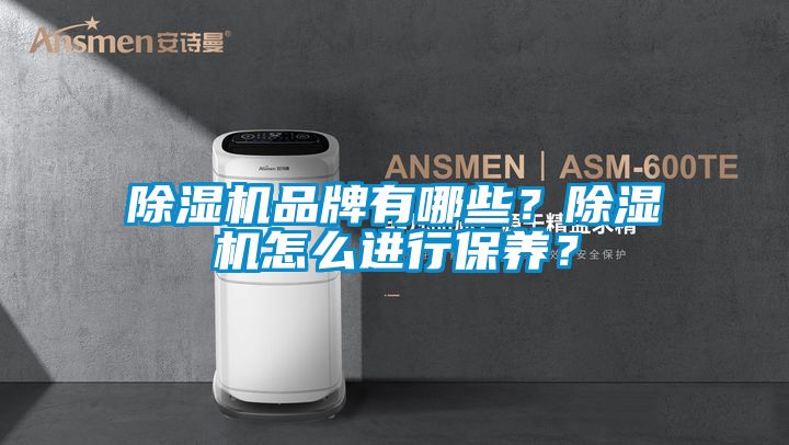 除濕機(jī)品牌有哪些？除濕機(jī)怎么進(jìn)行保養(yǎng)？
