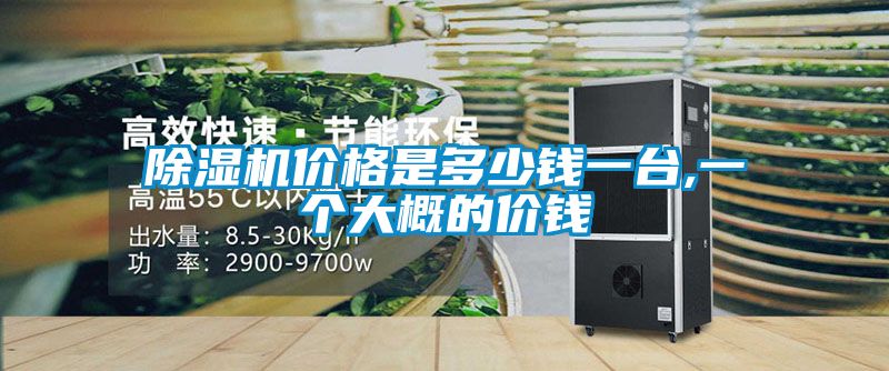 除濕機(jī)價(jià)格是多少錢一臺(tái),一個(gè)大概的價(jià)錢