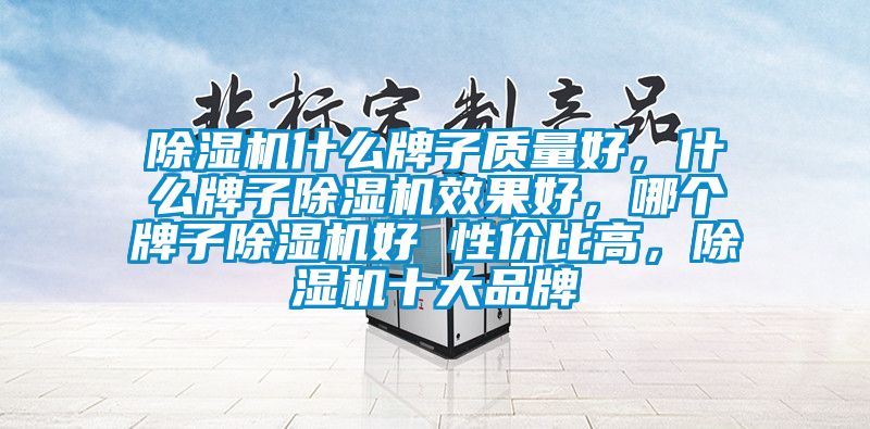 除濕機什么牌子質(zhì)量好，什么牌子除濕機效果好，哪個牌子除濕機好 性價比高，除濕機十大品牌