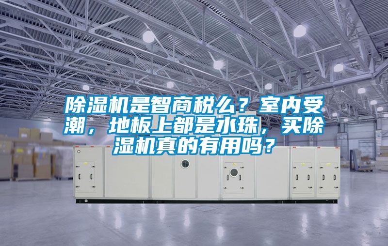 除濕機(jī)是智商稅么？室內(nèi)受潮，地板上都是水珠，買除濕機(jī)真的有用嗎？