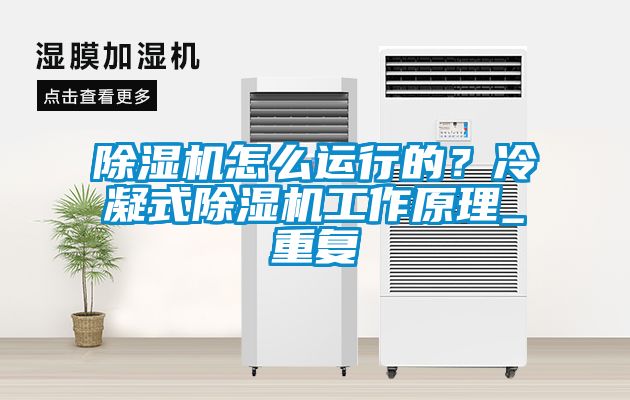 除濕機怎么運行的？冷凝式除濕機工作原理_重復