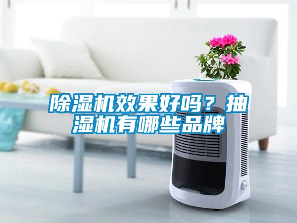 除濕機效果好嗎？抽濕機有哪些品牌
