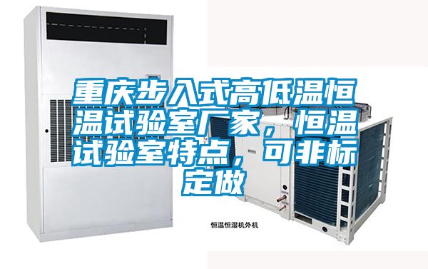 重慶步入式高低溫恒溫試驗(yàn)室廠家，恒溫試驗(yàn)室特點(diǎn)，可非標(biāo)定做