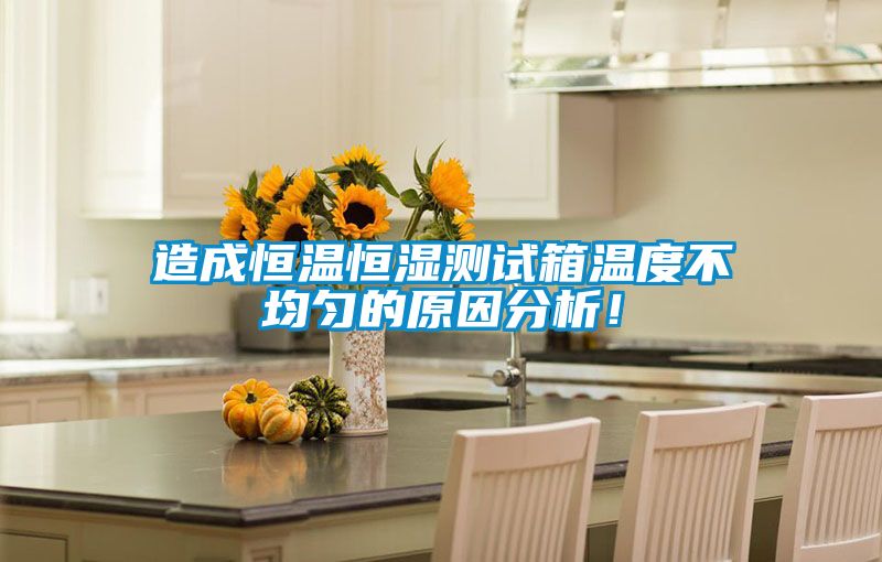 造成恒溫恒濕測(cè)試箱溫度不均勻的原因分析！