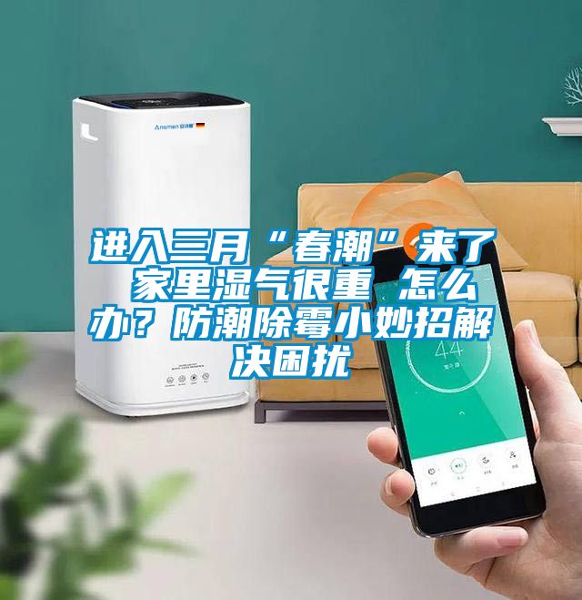 進(jìn)入三月“春潮”來了 家里濕氣很重 怎么辦？防潮除霉小妙招解決困擾