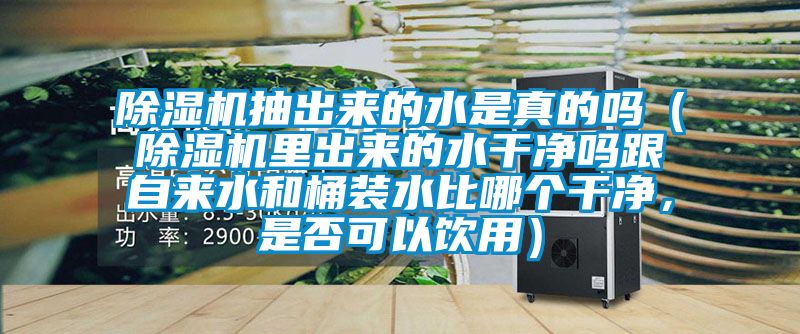 除濕機(jī)抽出來的水是真的嗎（除濕機(jī)里出來的水干凈嗎跟自來水和桶裝水比哪個干凈，是否可以飲用）