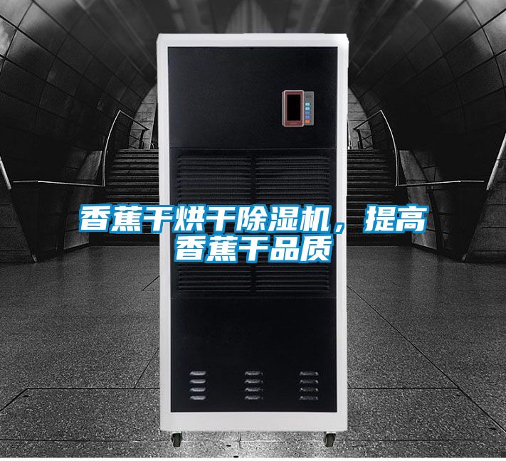 香蕉干烘干除濕機(jī)，提高香蕉干品質(zhì)