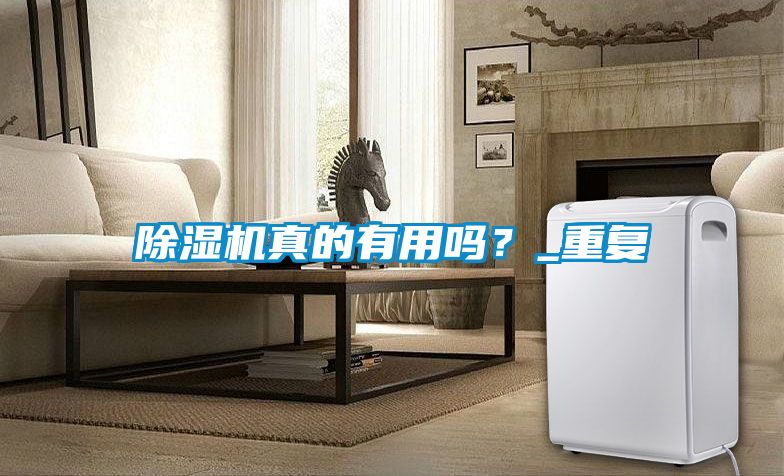 除濕機(jī)真的有用嗎？_重復(fù)