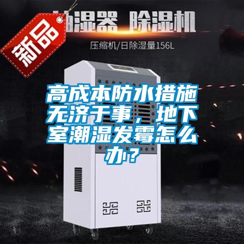 高成本防水措施無濟(jì)于事，地下室潮濕發(fā)霉怎么辦？