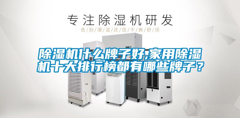 除濕機(jī)什么牌子好,家用除濕機(jī)十大排行榜都有哪些牌子？