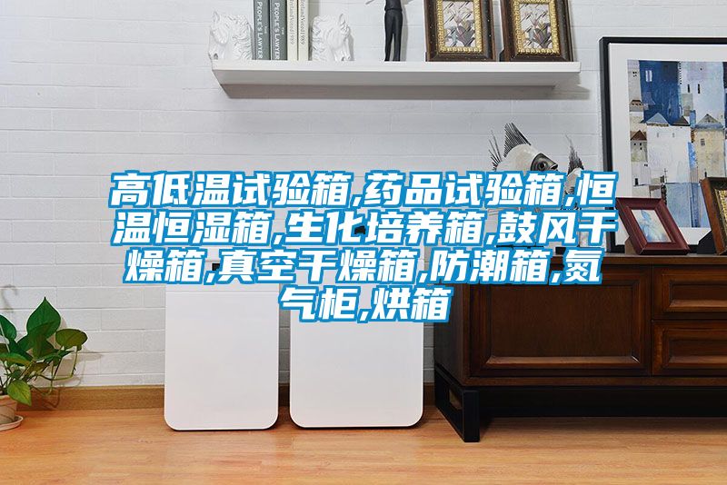高低溫試驗(yàn)箱,藥品試驗(yàn)箱,恒溫恒濕箱,生化培養(yǎng)箱,鼓風(fēng)干燥箱,真空干燥箱,防潮箱,氮?dú)夤?烘箱