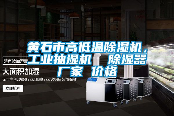 黃石市高低溫除濕機，工業(yè)抽濕機  除濕器廠家 價格