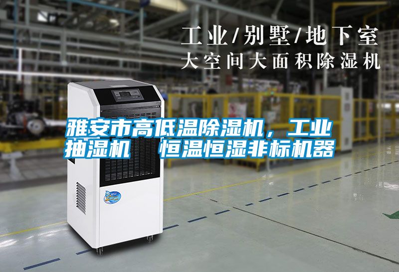 雅安市高低溫除濕機,工業(yè)抽濕機 恒溫恒濕非標機器