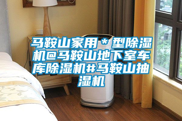 馬鞍山家用*型除濕機(jī)@馬鞍山地下室車庫(kù)除濕機(jī)#馬鞍山抽濕機(jī)