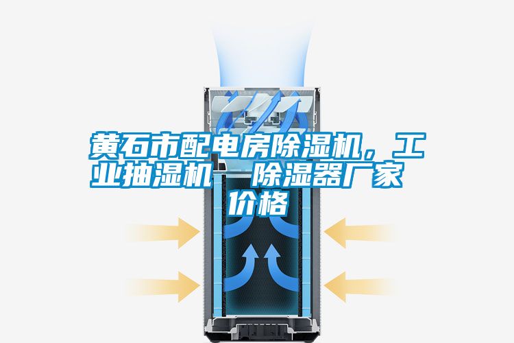 黃石市配電房除濕機(jī)，工業(yè)抽濕機(jī)  除濕器廠家 價(jià)格