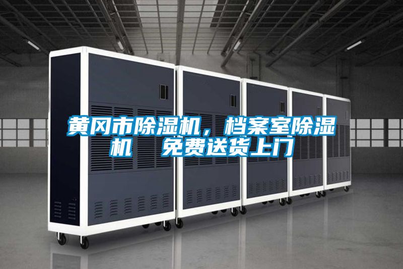 黃岡市除濕機(jī)，檔案室除濕機(jī)  免費(fèi)送貨上門