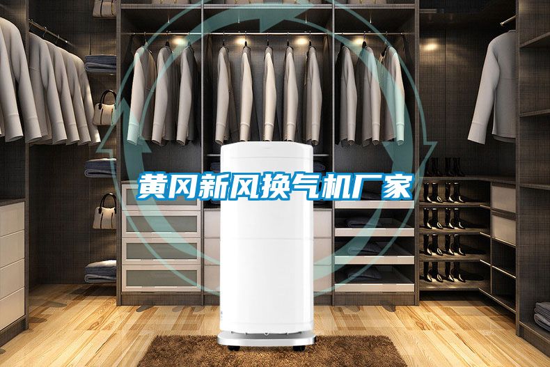 黃岡新風(fēng)換氣機廠家